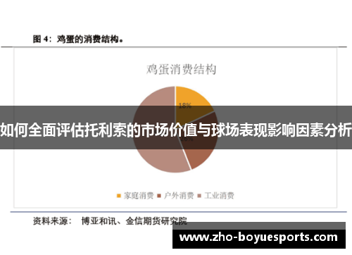 如何全面评估托利索的市场价值与球场表现影响因素分析